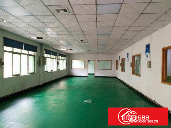 塘厦龙背岭1000平带吊顶装修标准厂房，实际面积