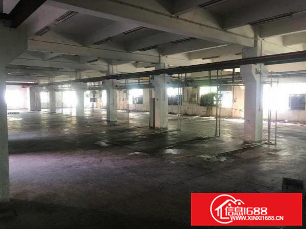 出租布吉丹竹头独门独院厂房一楼1000平方