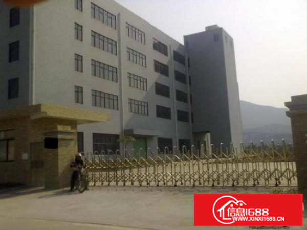 靓小金口原房东5000平米钢构厂房招租