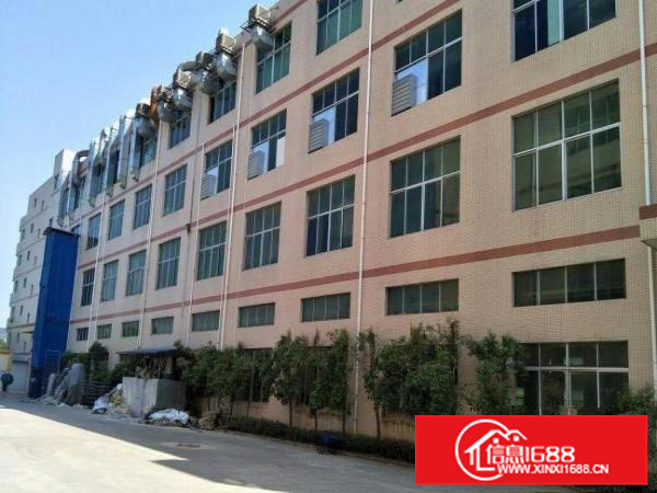 惠阳秋长11500平原房东独院厂房无公摊面积可分租