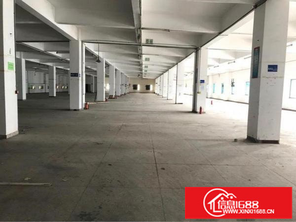 福永大洋田红本独院厂房22000平大小分租面积实在