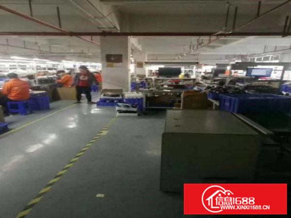 现房一一凤岗黄洞新出整层带装修1200平厂房出租