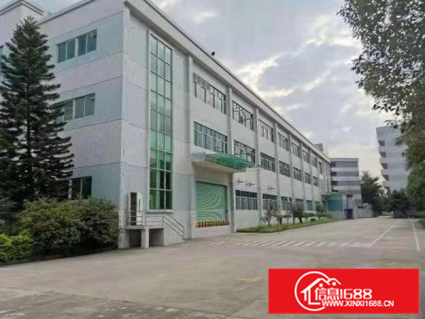 石排塘尾标准厂房分租楼上1050平方，有地坪漆办公室装修