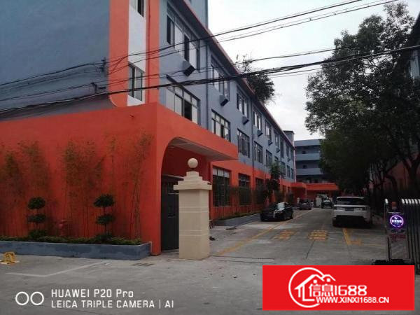 龙岗爱联嶂背工业区全新独院厂房6千平米招租