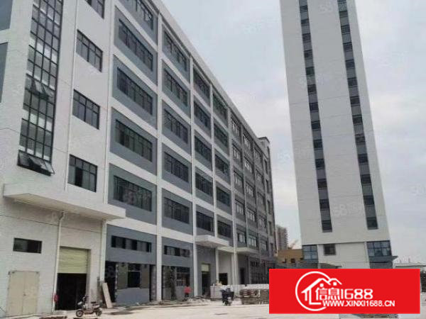 大岭山新空一楼二楼三楼每层850平方带精装修厂房出租