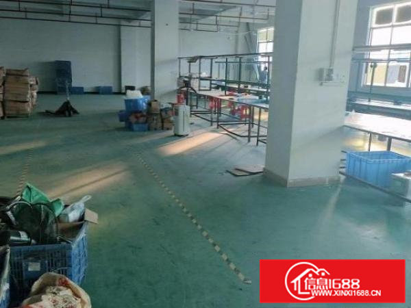 9层新独门独院，楼上豪华办公室装修，车间地坪漆。