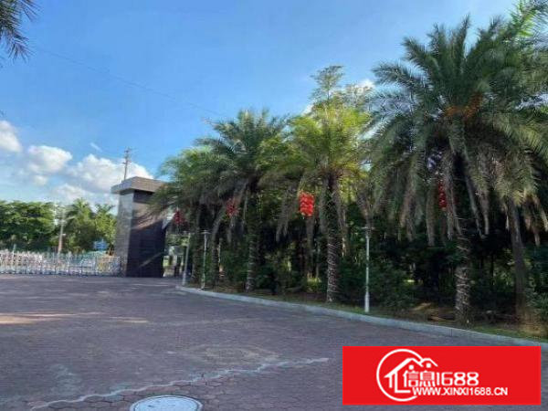 公明新开楼盘红本花园式厂房~中央空调~可整租~可分租