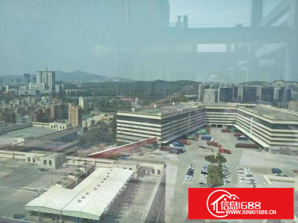 清溪新出独院，标准厂房8栋，钢构1栋，大小可分租