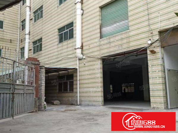 房东直租，独门独院，配电315kw，带宿舍