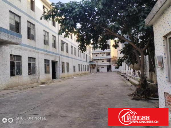 惠州仲恺陈江镇独院标准厂房3600平，可以分租