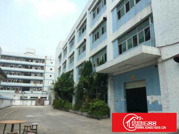 横岗228工业区2000平米厂房仓库出租