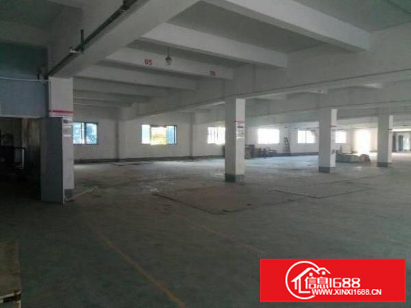 出租龙岗区浪背新出原房东标准厂房一楼1550平米，可分租