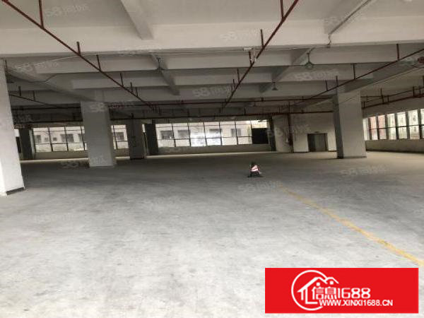 横岗新出原房东一楼500至1000平方招租