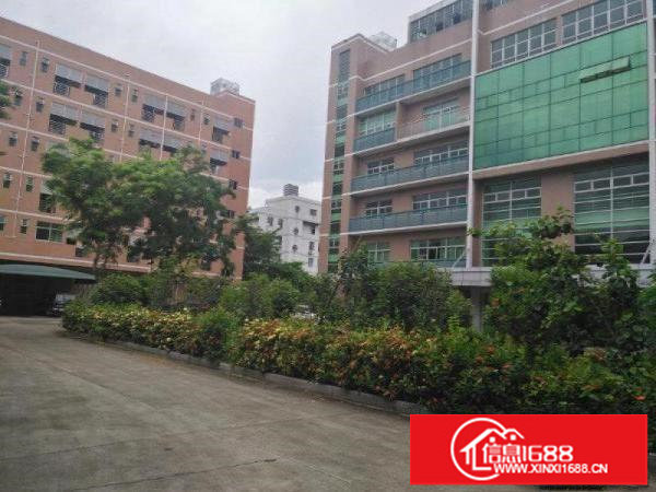 塘坑地铁站旁花园式厂房办公、贸易、电商每层860平