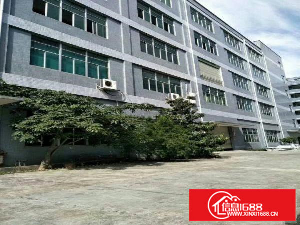 东兴工业园原房东分租2至3楼2400平无公摊12块