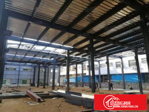 桥头镇原房东独院单一层厂房,空地面积超大,带有精装豪华办公室