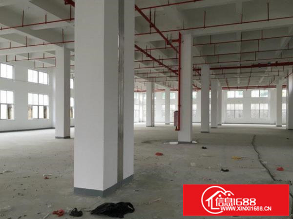 平湖新木村标准厂房一楼1300平有现成办公室装修