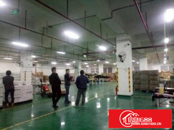 平湖大皇公新出3楼3000平方厂房急租