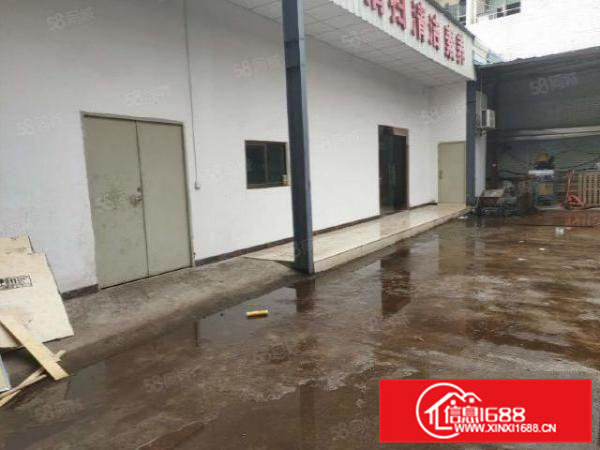 （可办环评）大岭山原房东6米高1500平标准独门独院厂房出租