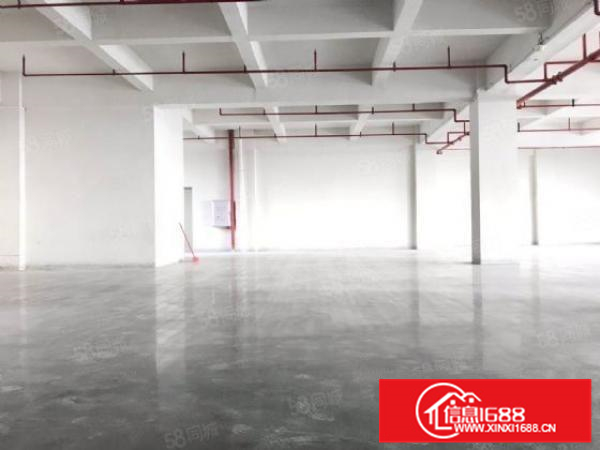 形象好带精装修容桂标准800方可办环评进车方便a