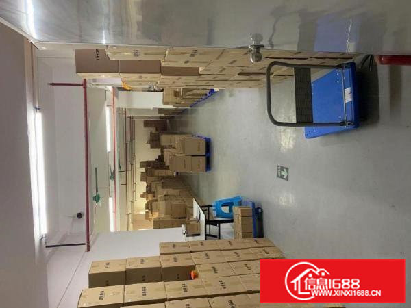 出租常平镇天鹅湖精装修厂房