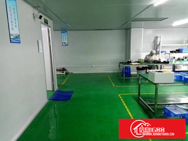 黄江北岸村新出带装修干级无尘车间1200平方，三楼厂房出租，