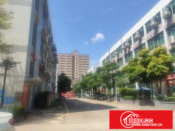 观澜章阁新出原房东洁净车间1300平。