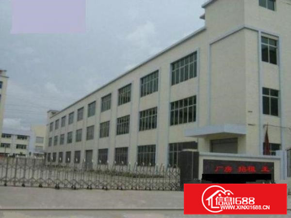 桥头工业区新出标准独院三层3200平米可分租厂房