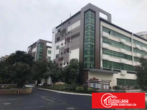 大浪高新科技创业园，园区形象好，有补贴。