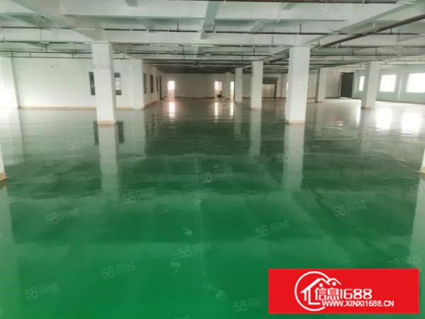 茶山镇临东部快线新出2楼整层2500平带地坪漆办公室装修