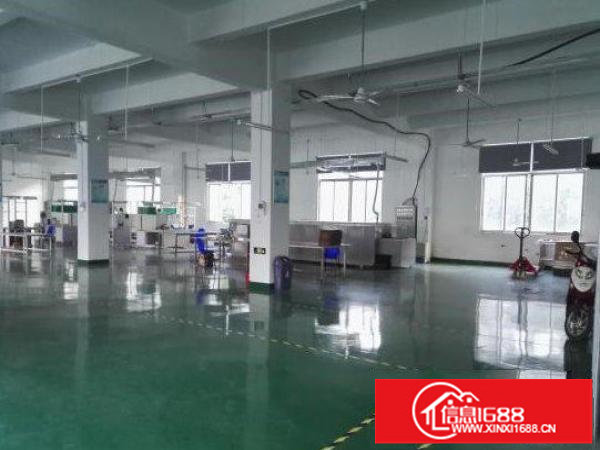 坪地教育中路1楼480平精装修厂房原房东出租现成水电