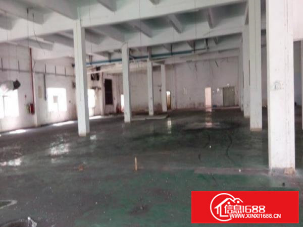 凤岗新出一楼6米高厂房800平方招租