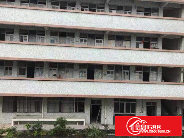 龙岗独门独院三层每层2000方整栋出租可分租