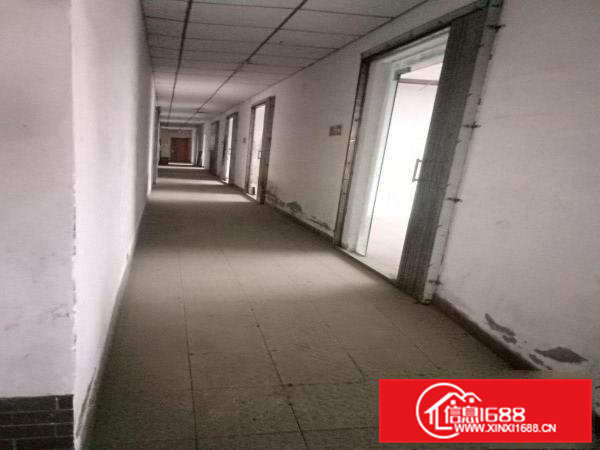 白菜价！！！！！常平桥沥单一层钢构厂房800平米招租近大马路