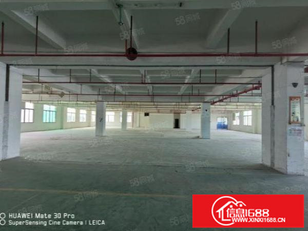 观澜同富裕工业园3万平厂房仓库冻库200平起租1