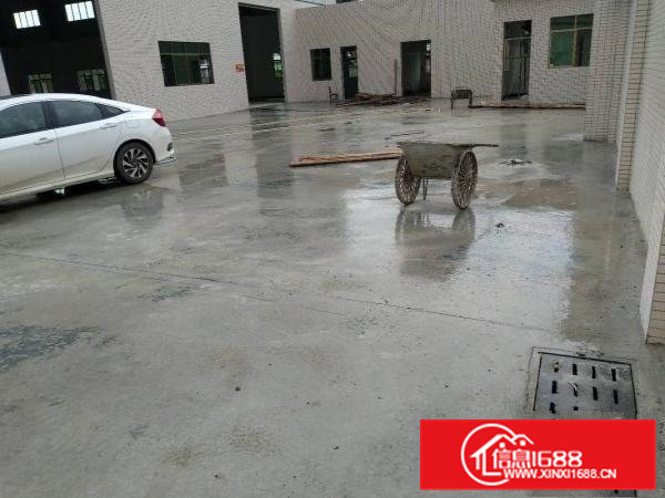 园洲镇独院钢构2600，独立院子600，高9米