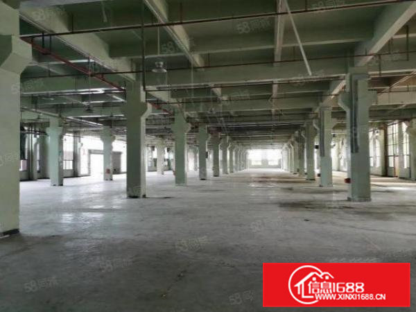 东坑国有证原房东独院厂房出租可分租一楼7米工业用地可办环评