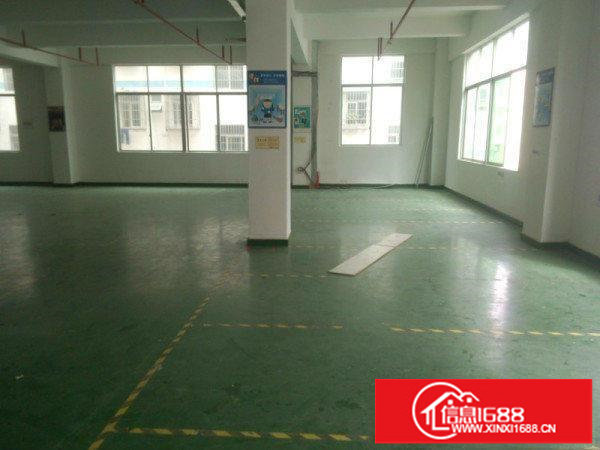 水围工业区新出3楼480平带装修厂房招租