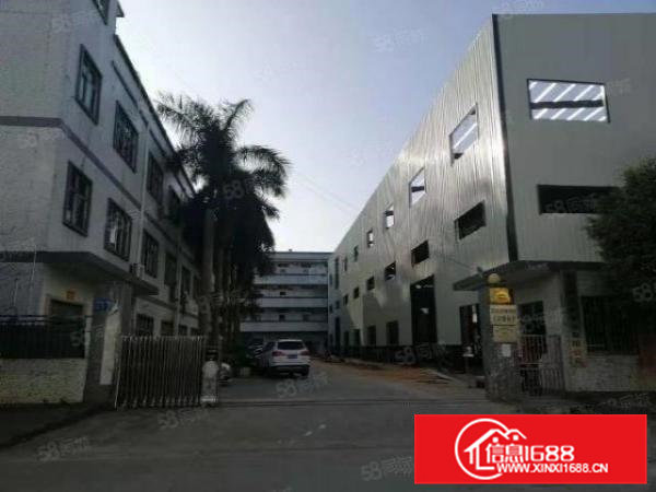 桥头镇原房东独院单一层厂房，空地面积超大，带有精装豪华办公室