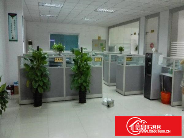 龙观快线厂房招租1000平带精装修办公室