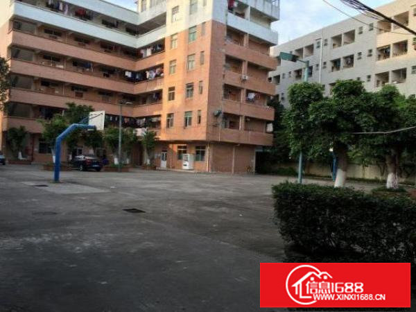 大和路轻轨站旁大型工业区大量厂房招租可进大车空地大