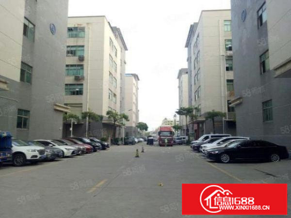 坪山原房东独院工业园精装厂房仓库出租5万平可分租300平起分