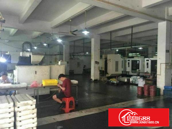 塘厦商业中心600至800平方米一楼标准厂房出租