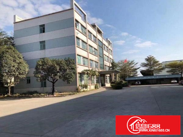 原房东独门独院单一层工业用地厂房出租