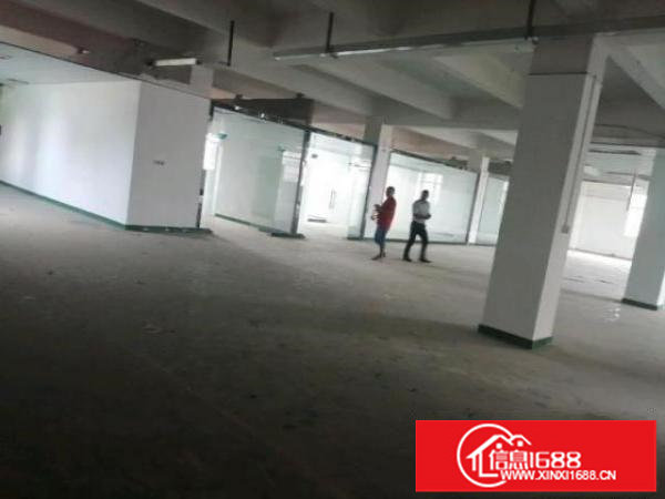 田寮光侨路边工业大厦出租