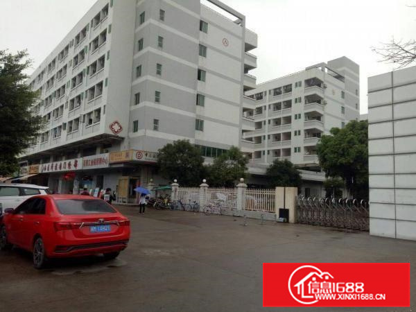 大亚湾石化大道花园式一手房东红本厂房1万平米出租