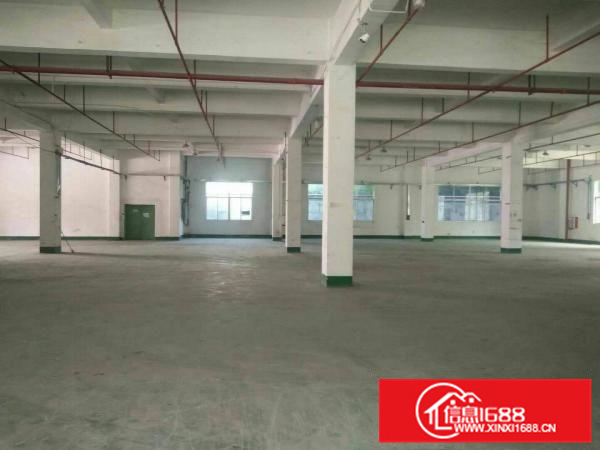 惠阳秋长三和经济开发区原房东花园式原房东厂房出租