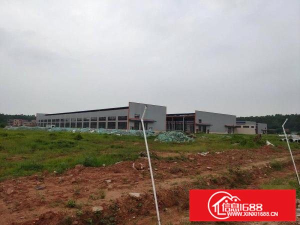 狮山虹岭路6万方全新独院厂房，3000平方起可分租，可装吊机