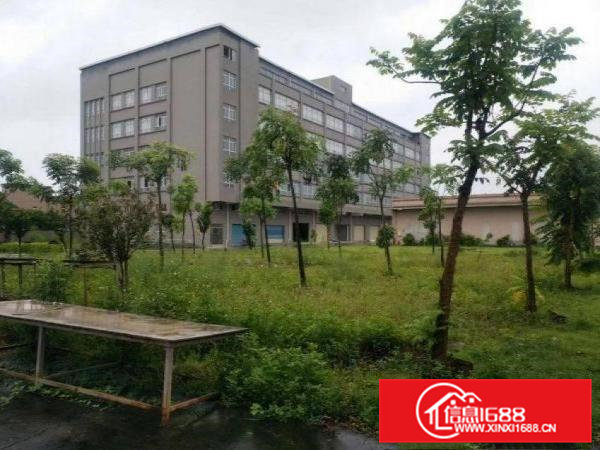 石涌厂房1400平出租带房产证，可做小污染包办环评