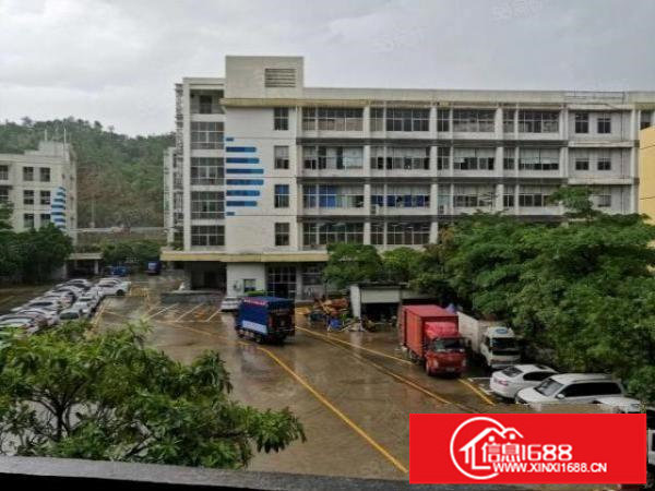 横岗荷坳高新产业园区2400平方红本厂房招租